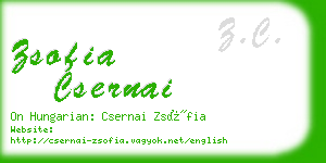 zsofia csernai business card